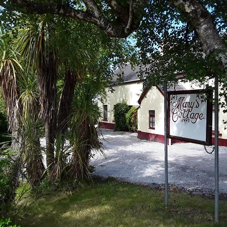Mary'S Cottage Sneem Exterior foto